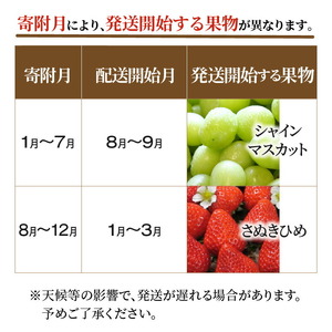 三豊市フルーツ2回お届け定期便A