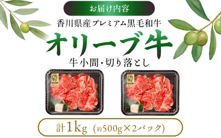 黒毛和牛オリーブ牛 切り落とし 約500g×2