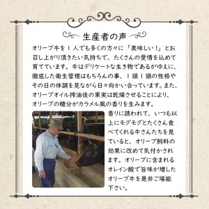 オリーブ牛串10本セット