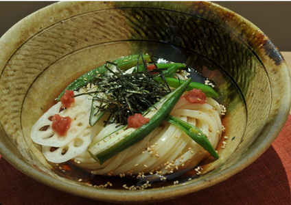 純生！【冷うどんが旨い】本場さぬきうどんめん一のひやひや(8人前)【L-16】