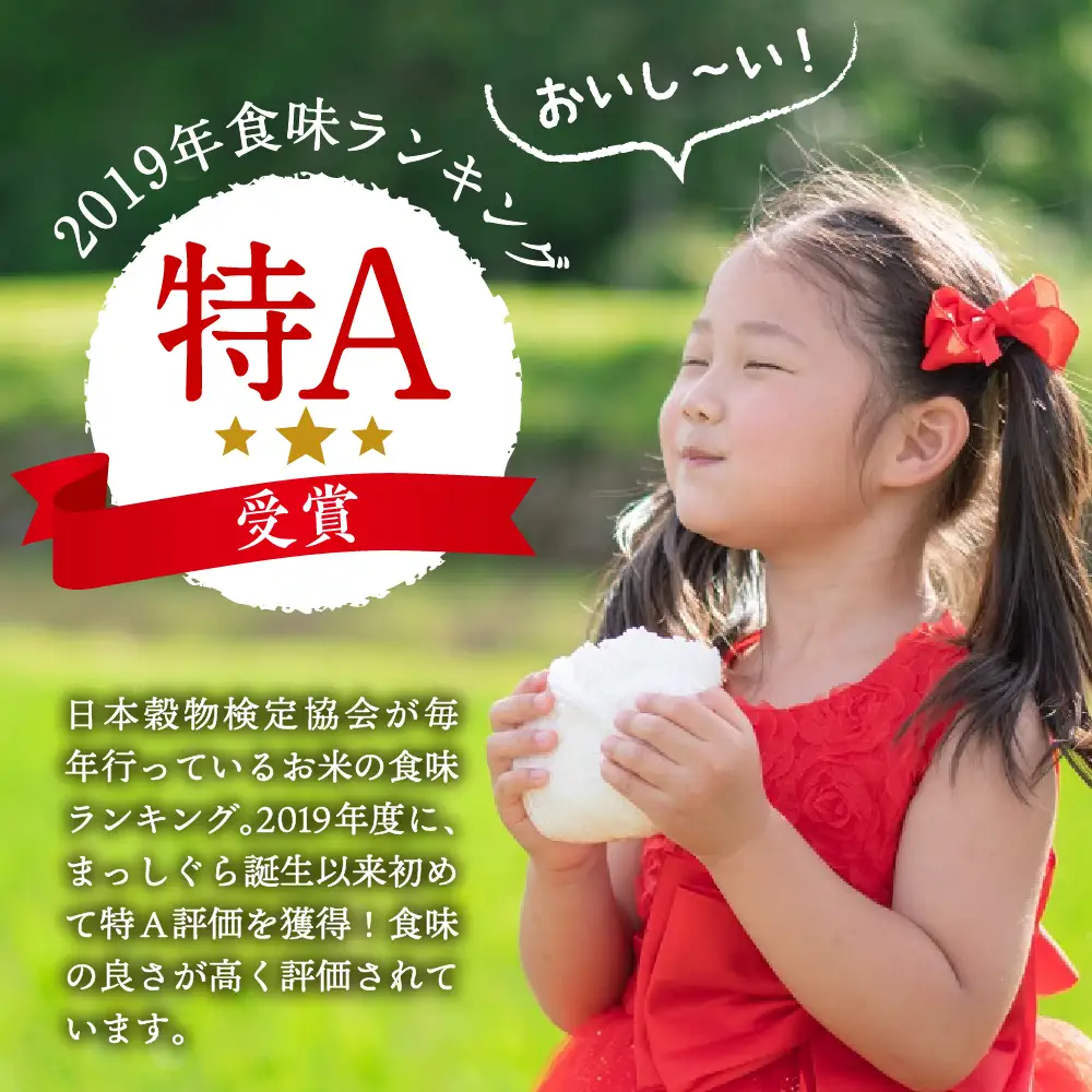 【定期便 3ヶ月】 無洗米 10㎏ 青森県産 まっしぐら （精米） 