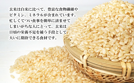 ＜令和６年産＞玄米 ひとめぼれ 5kg 【産直チャグチャグ】 / 米 お米 岩手県産 ご飯