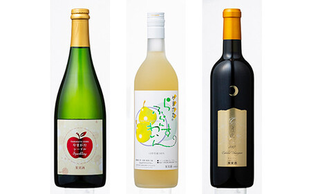 FYN6-470 月山山麓ワイン 飲み比べ6本セット（赤・白・ロゼ・スパークリング）ミディアムボディ ライドボディ 山形県 西川町