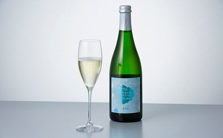 FYN9-740 月山山麓 スパークリングワイン飲み比べセット（セイベル・ロゼ）750ml×2 やや辛口 山形県 西川町