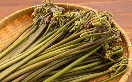 FYN9-230 野菜 わらび 塩蔵わらび 3kg 野菜