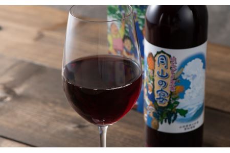 FYN9-423 山ぶどう原液「月山の宴」 1本 ブドウ 飲料 山形県 西川町