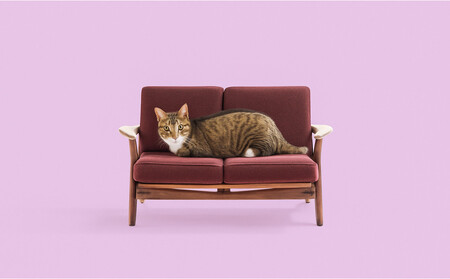 ねこ家具 バナードソファー 北欧家具デザイン