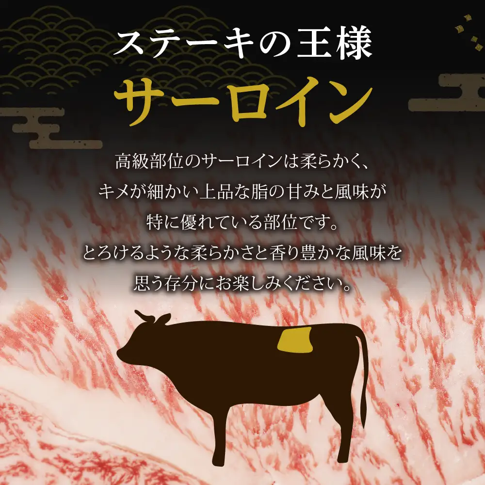  黒毛和牛 (博多和牛) サーロインステーキ 200g×3枚（ジャポネソース付）【伊豆丸商店】_HA0186