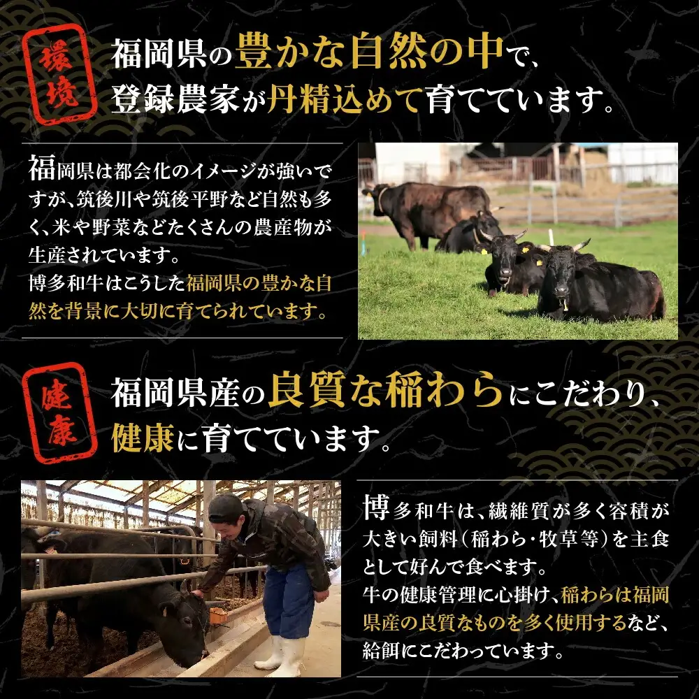 【A5ランク】黒毛和牛 (博多和牛) モモ赤身ステーキ150g×2枚(ジャポネソース付)【伊豆丸商店】_HA0189