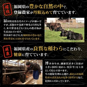 博多和牛ロース500g(しゃぶしゃぶ・すき焼き用)【伊豆丸商店】_HA0192