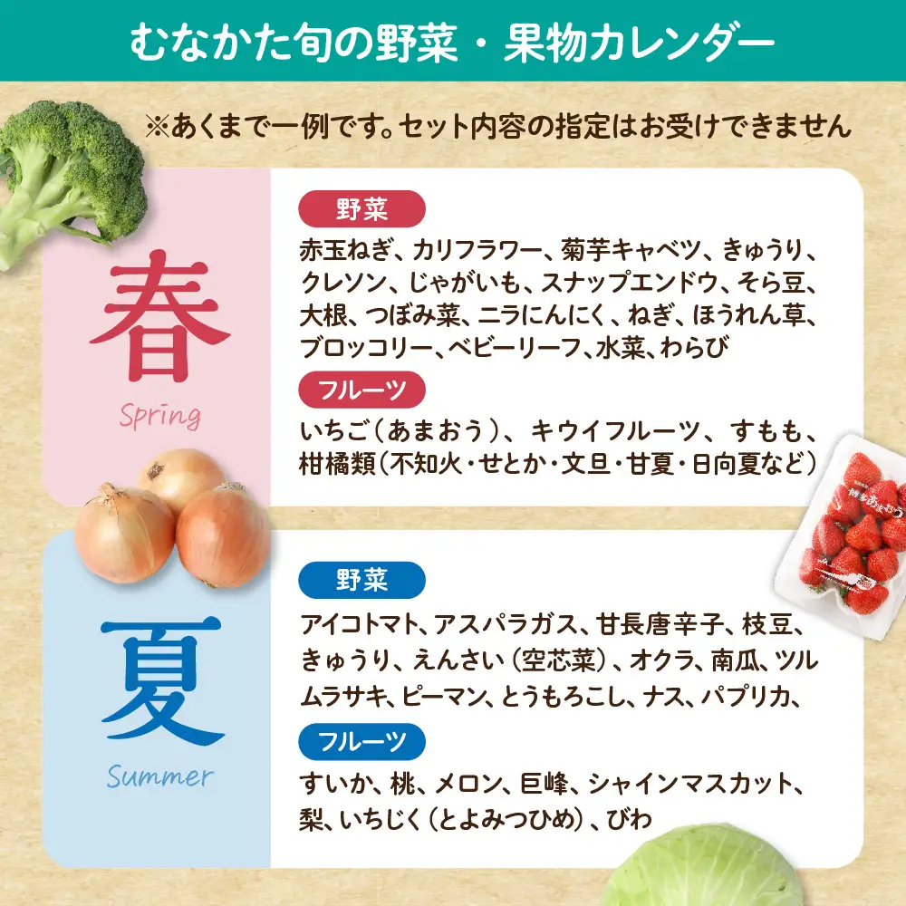 【9～11品】むなかた旬のお任せセット 野菜 フルーツ お米 _HA0263 | 詰め合わせ