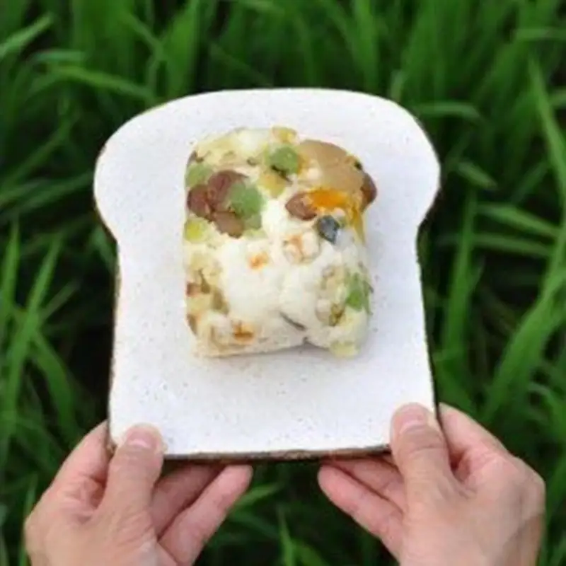 食パンの皿【716】_HA0396