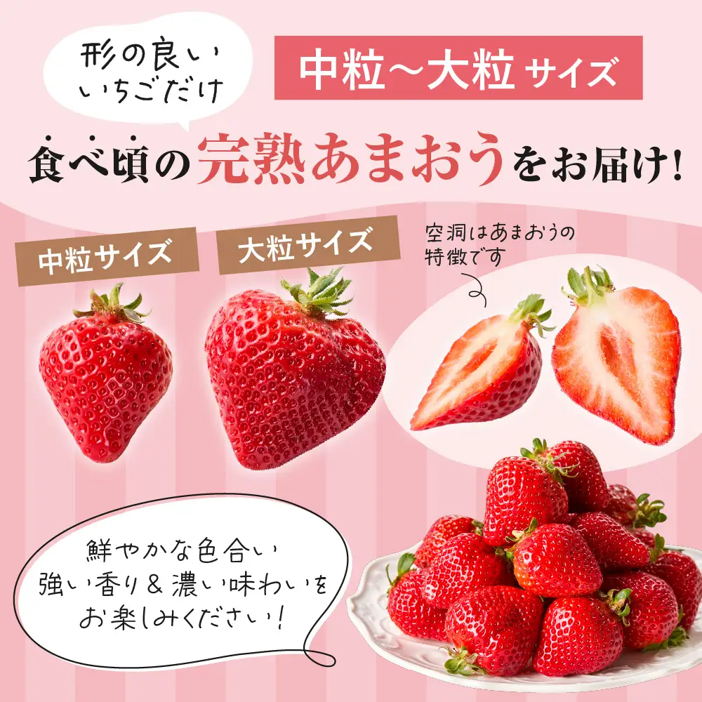 【先行予約】プレミアムオーガニックあまおう 「いせいちご」 スペシャルギフト _HA0480 | いちご あまおう