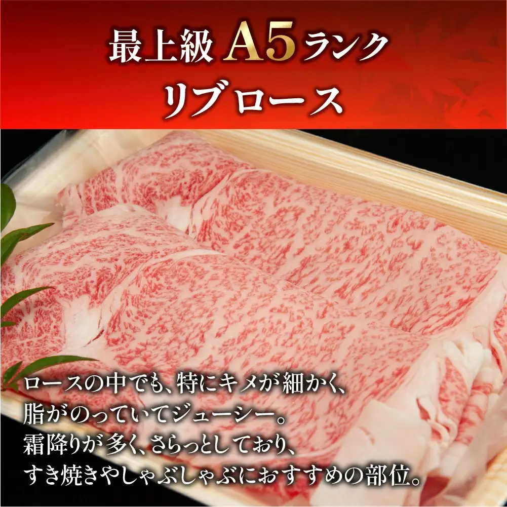 飛騨牛リブロースすき焼き 360g【11-10】