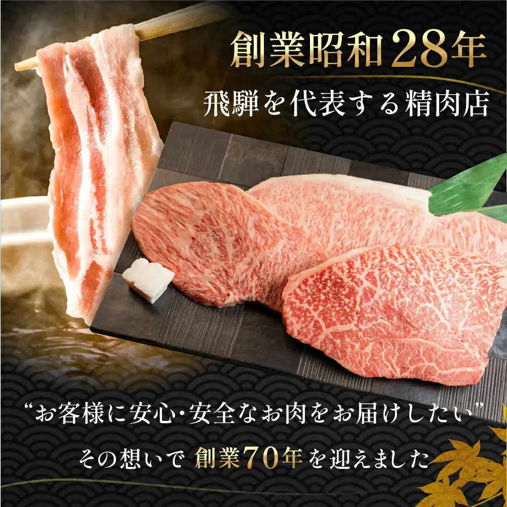 飛騨牛ヒレステーキセット 約700g（5～7枚）【11-54】