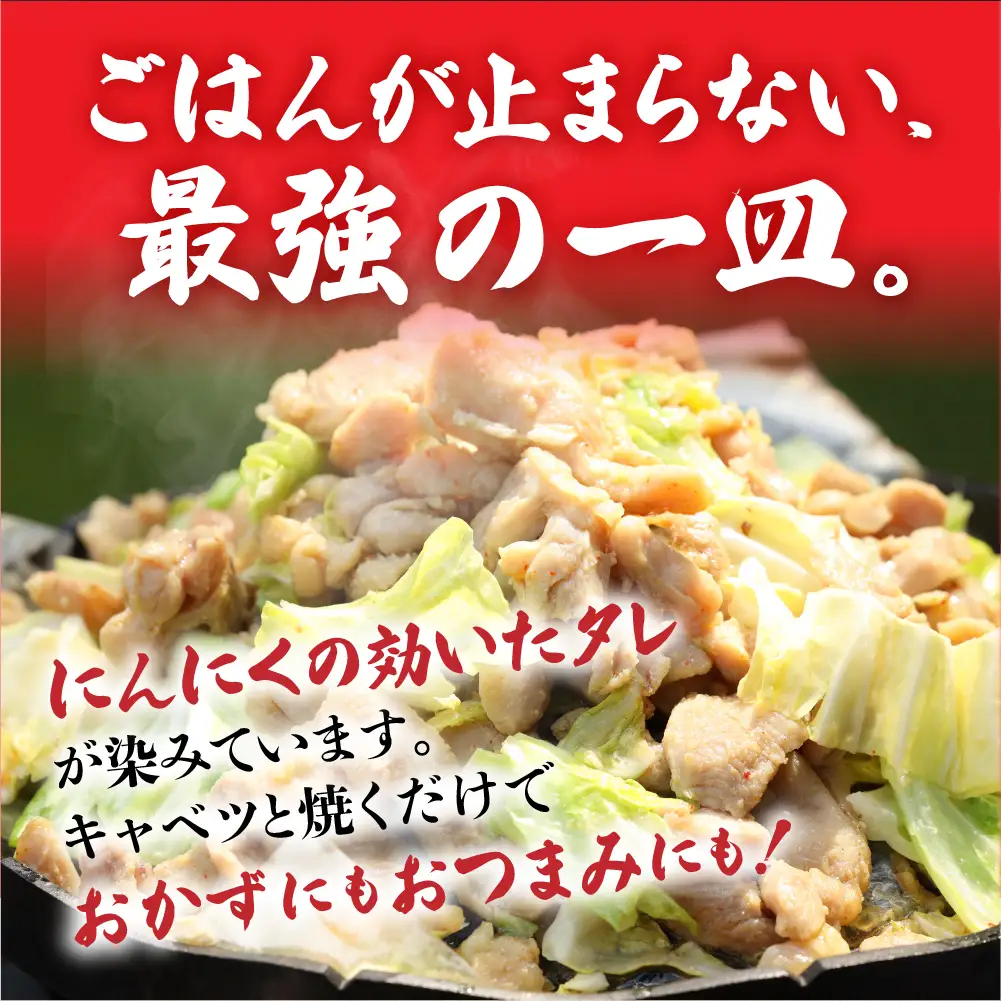  鶏ちゃん発祥の名店「まるはち食堂」けいちゃん【48-1】