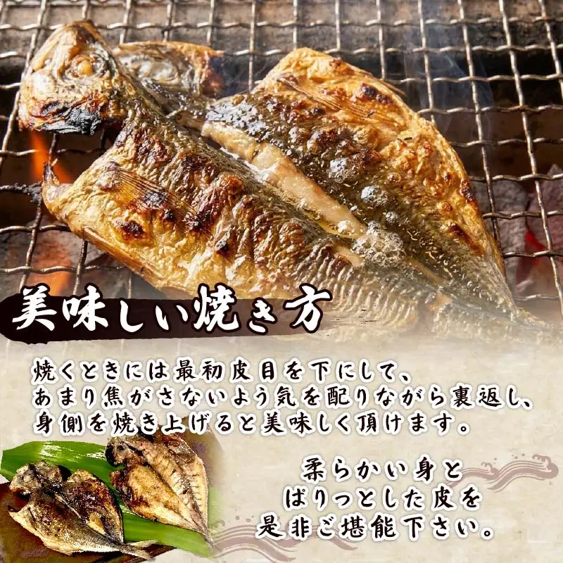 干物 金目鯛 味噌漬け さんま あじ いか ひもの 伊豆 下田 ほうえい