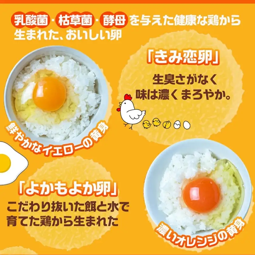 「きみ恋卵」と「よかもよか卵」のたまごかけご飯セット〔12-29-002〕_(都城市) きみ恋卵 よかもよか卵 Ｍサイズ たまごかけご飯専用醤油「玉子ちゃん」 甘口 卵かけご飯 朝ごはん 朝食