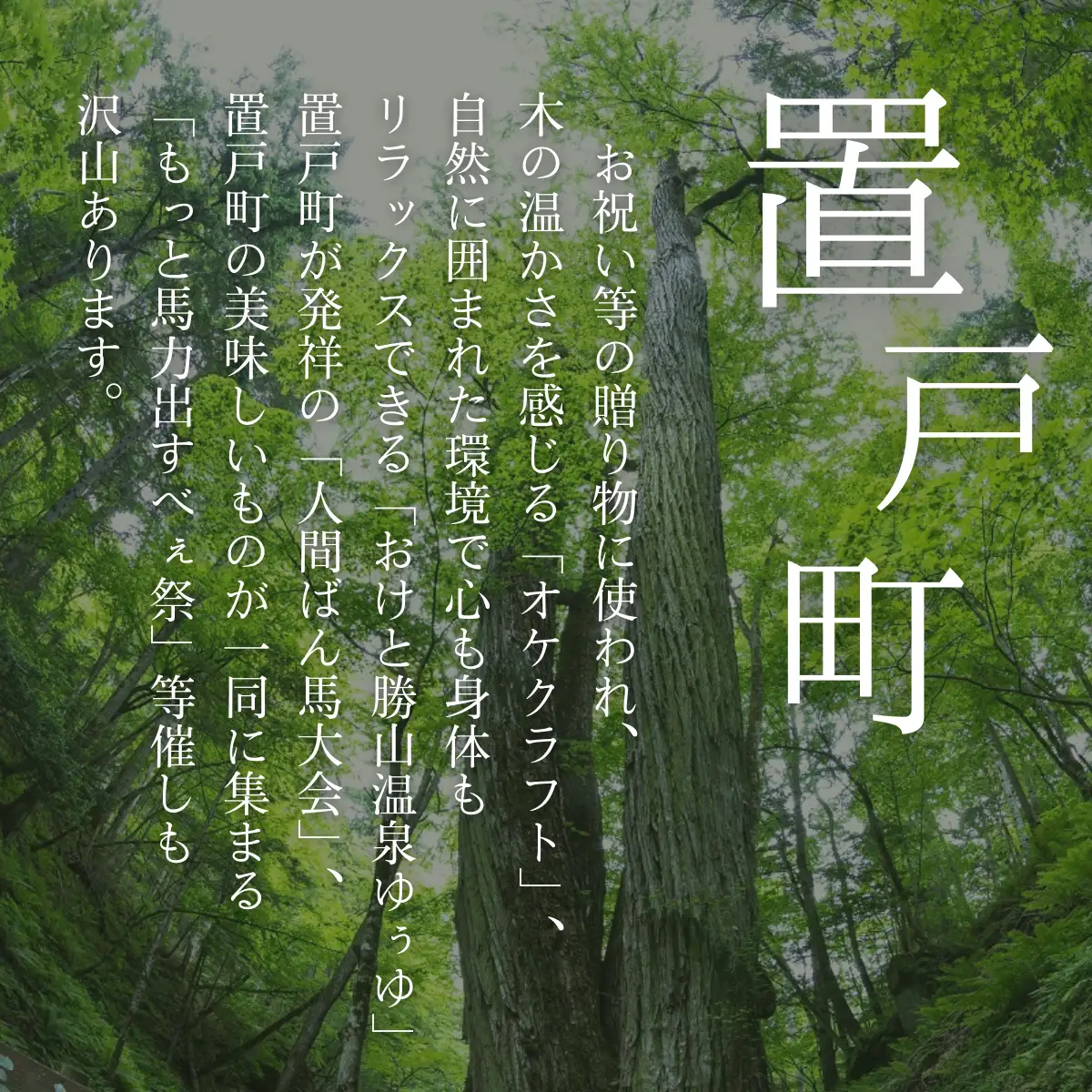 靴べらと靴べらスタンド OTA027 