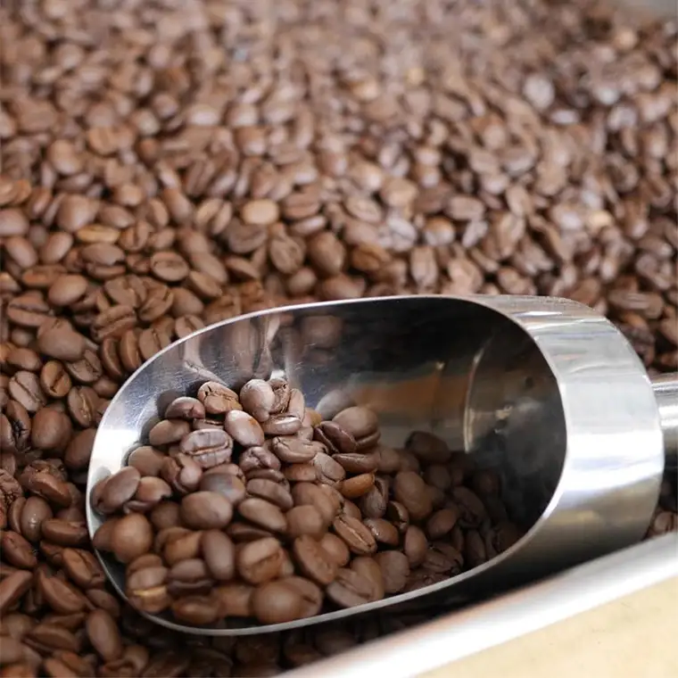 自家焙煎 レギュラー コーヒー ( 200g ) ドリップ コーヒーバッグ ( 10g × 5 )と ヘンプバッグ の セット