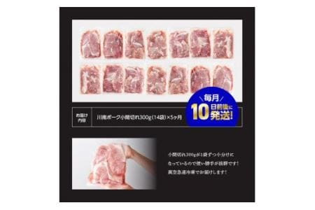 豚肉 【5ヶ月定期便】宮崎県産豚肉川南ポーク小間切れ4.2kg(300g×14パック) 小分け