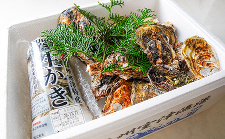 H-12【12月～3月限定】 室津産 殻付き牡蠣1.3kg + むき身250g