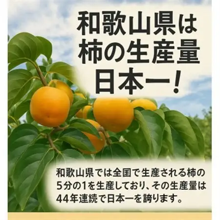 【先行予約:2026年配送】太陽の光をたっぷり浴びた松岡農園の富有柿(4L　9個)_果物・フルーツ 柿（カキ）  かき_【1090791】