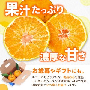 温室 不知火 （ しらぬい ） 3kg（7〜8玉）化粧箱入 / デコポン ハウス栽培 甘い 和歌山 柑橘 お歳暮 ※2026年11月下旬〜2026年12月下旬に順次発送 【ymk006-p-3】