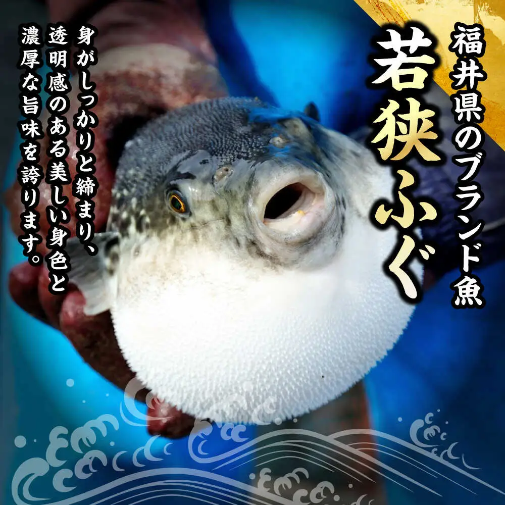 若狭ふぐ フルコース付 ペア宿泊券 (一泊二食付き)  小浜市 / 若狭ふぐの宿 下亟 [BFAF003]