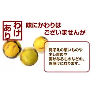 【はるか】 訳あり はるか 7kg みかん 【みかん職人武田屋】