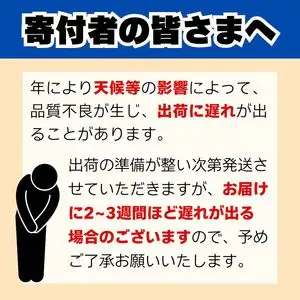 【先行予約】 訳あり 不知火 3kg  しらぬい かんきつ 柑橘 みかん 蜜柑 でこぽん おやつ きず 傷 ふぞろい 不揃いフルーツ 果物 くだもの 果実 愛媛県 愛南町 みかん職人武田屋
