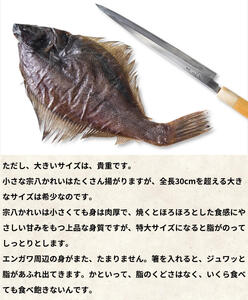 【数量限定】宗八かれいの一夜干し 4枚入 冷凍 カレイ 北海道 カレイ かれい 一夜干し 干物