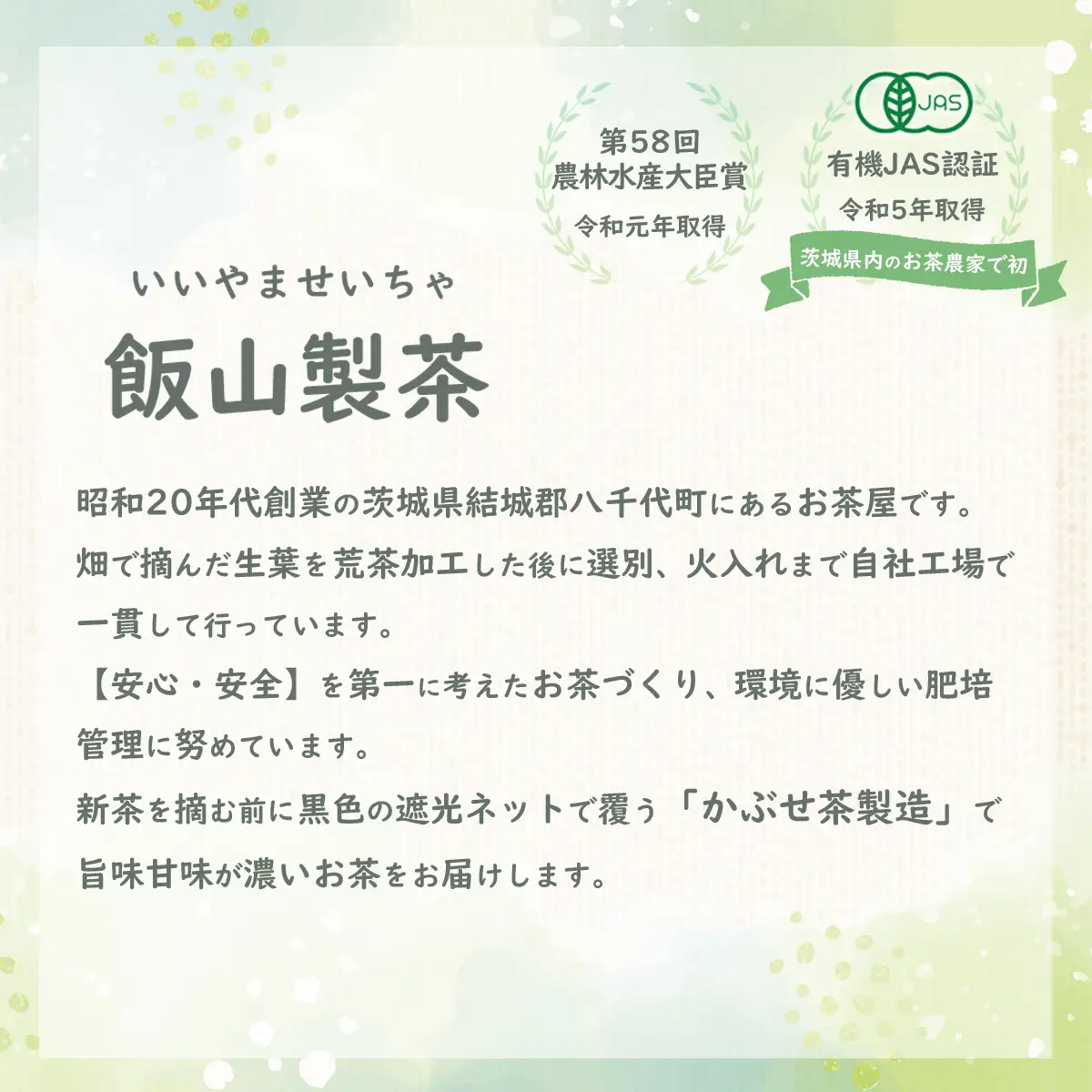 ＜ お歳暮 熨斗付き ＞《簡単！便利！》急須のいらない粉末 緑茶 粉末緑茶 お茶 おちゃ 茶 茶葉 飯山製茶 一番茶葉  急須不要 手軽 お菓子作り [AE020ya]