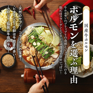 山樹のピリ辛味噌もつ鍋 ４～５人前セット 牛もつ鍋 ホルモン ピリ辛 味噌 冷凍 もつ鍋 自家製 かんたん あったか  [047R12]