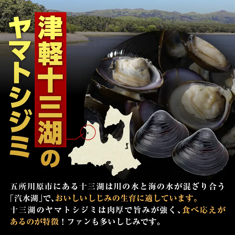 しじみ 貝活源G（ 60g(200粒入)×2箱）とシジミエキス21（100ml×40本）のセット（十三湖産ヤマトシジミ使用）