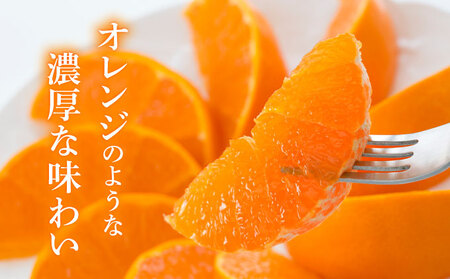 【先行予約】＜数量限定＞せとか3kg（8～15玉）化粧箱付き_K001-018
