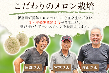 2027年5～7月出荷 アールスメロン 2L2玉 計3kg B520-02