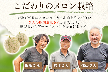 2027年5月～7月出荷 大玉プレミアムアールスメロン 4L2玉 計3.8kg以上 C331-02