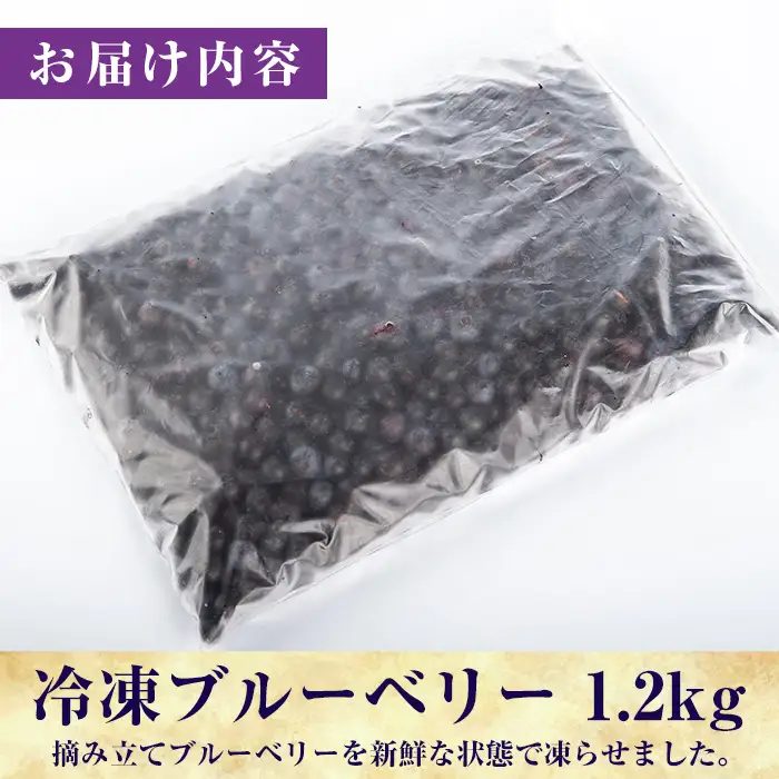 A-050 霧島市産ブルーベリー1.2kg(冷凍)【霧島農産加エグループふきのとう】霧島市 ブルーベリー 冷凍 新鮮 フルーツ