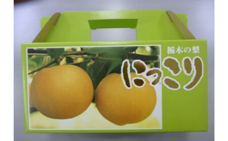 【2026年栃木県鹿沼産】大玉な梨（にっこり） 約2kg ナシ 果物 フルーツ ※2026年10月～発送