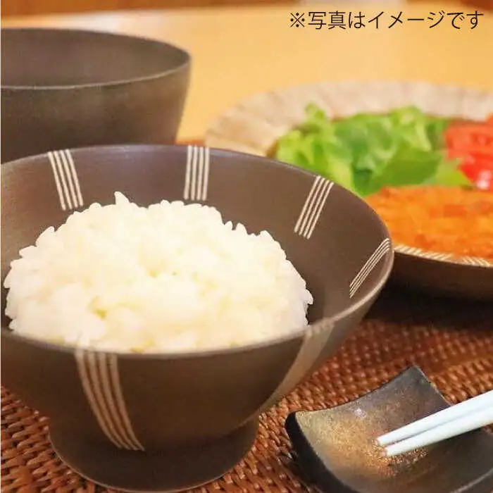 【波佐見焼】Shabby chic style 茶碗 2個セット（ダーク） 食器 【和山】 [WB100]  波佐見焼