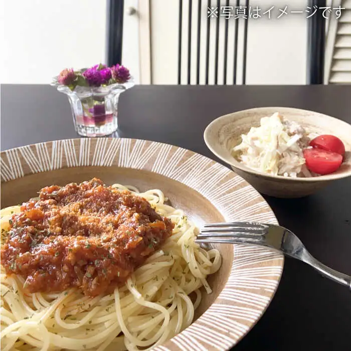 【波佐見焼】Shabby chic style ボウル 大2個セット senダーク パスタ皿 食器 皿 【和山】 [WB111]  波佐見焼