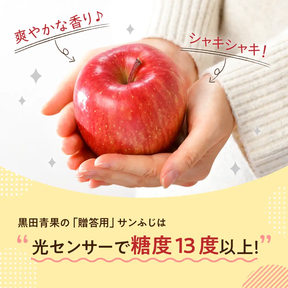 【2027年3月後半発送】 りんご 約10kg サンふじ 青森産 糖度 13度以上 贈答用 特選～特秀
