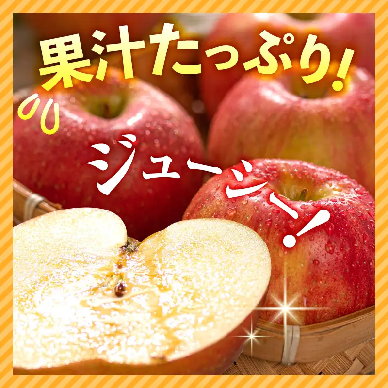 【2027年1月上旬発送】《訳あり》 りんご 約10kg サンふじ 青森産 りんご