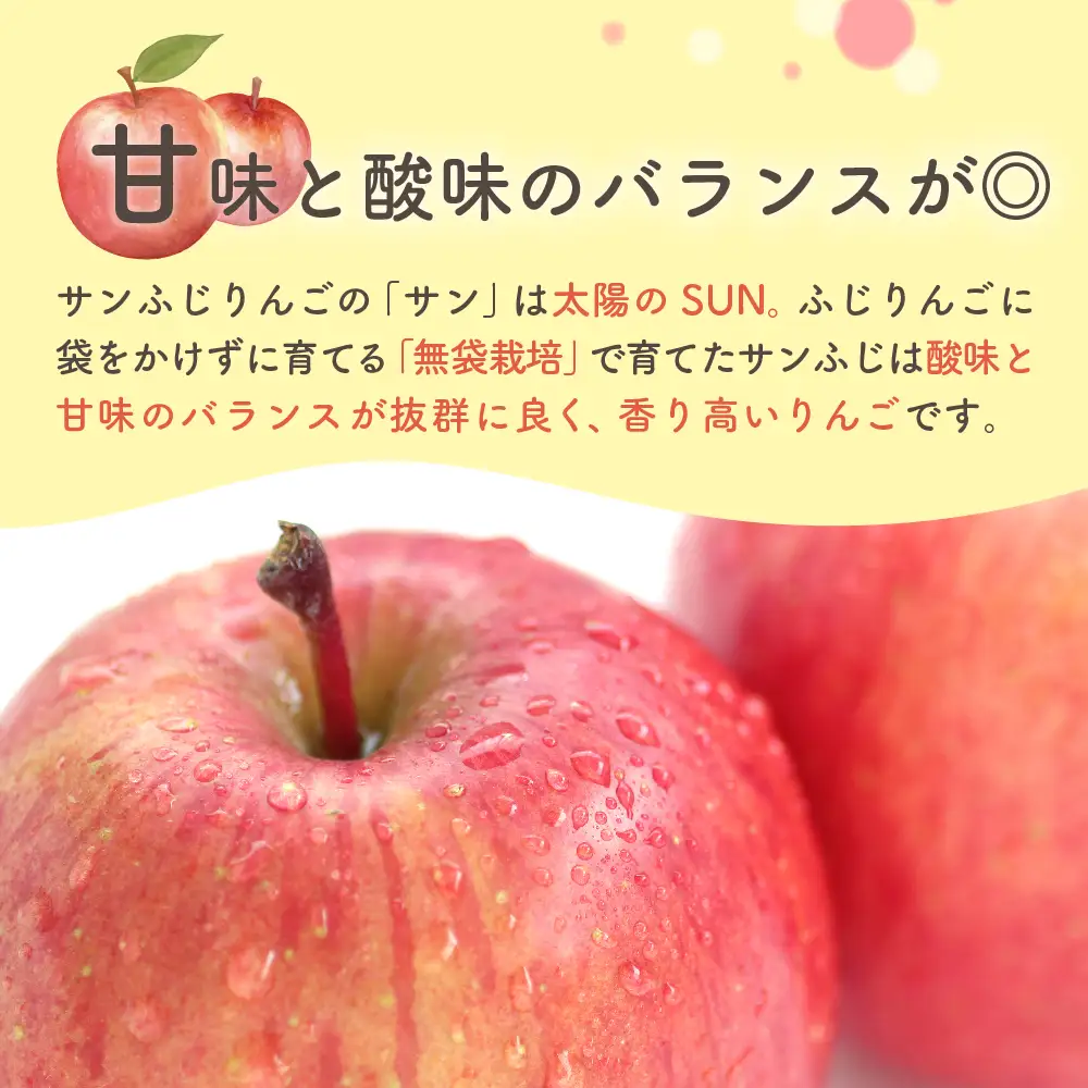 【2027年1月上旬発送】【訳あり】 りんご 約5kg 青森県産 サンふじ 家庭用 りんご