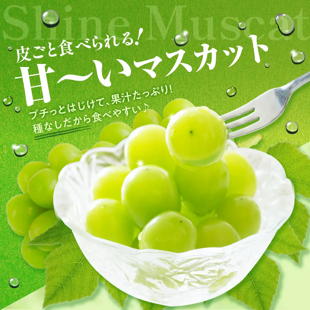 【2026年11月上旬発送】 青森産 シャインマスカット 1房 (3～4L・600～700g程度) 大粒