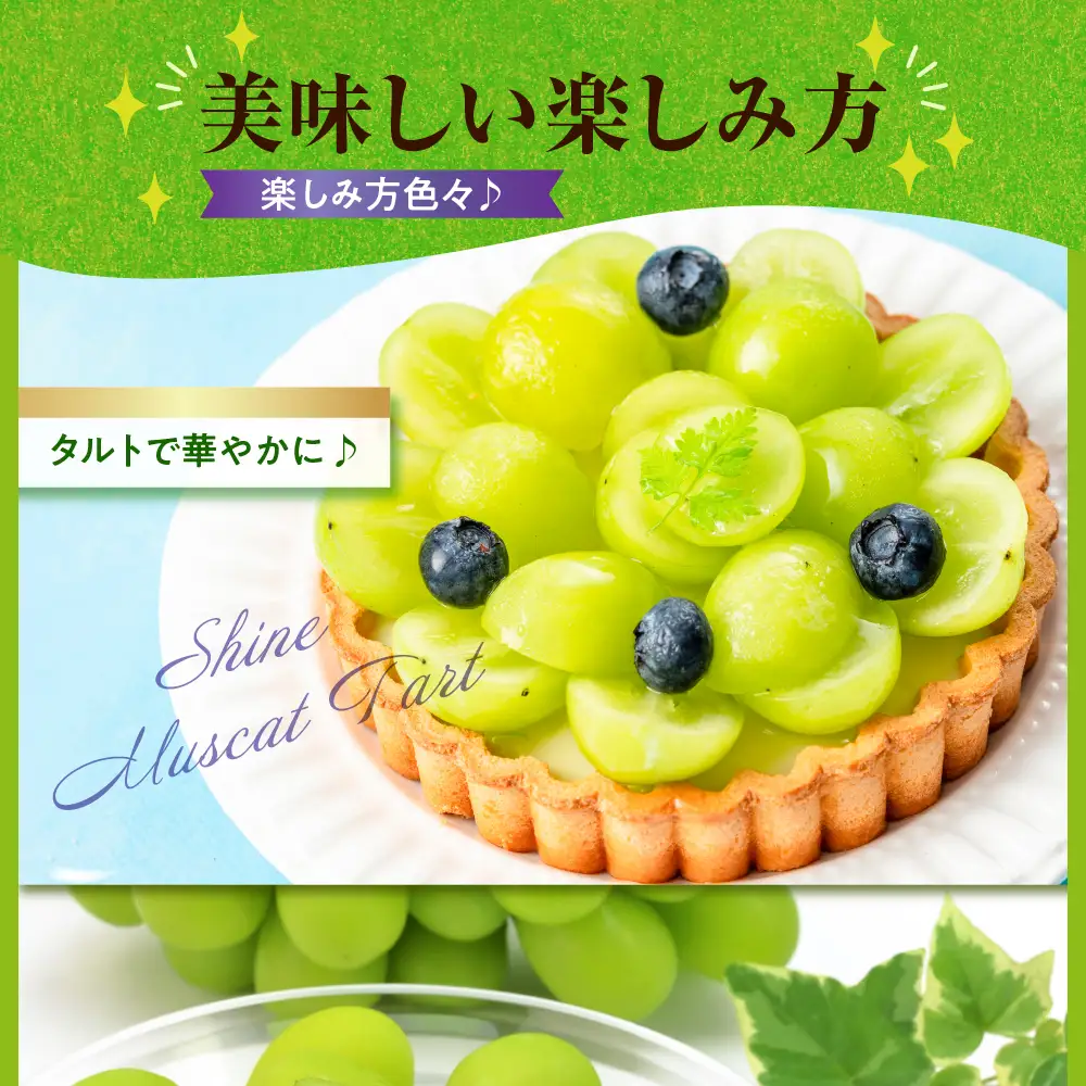 【2026年12月上旬発送】 青森産シャインマスカット 「家庭用カップ入り」 約1.2kg (200g×6カップ)
