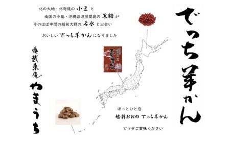 【先行予約】老舗和菓子店　福井県大野市冬の名物 でっち羊かん 小サイズ（約240g）× 3箱【11月より順次発送】