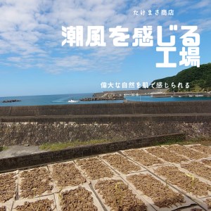 伝統の宗田節納屋　見学＆体験券（大人2名分）【R00432】