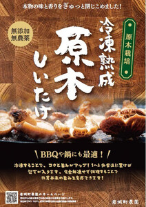 岩城町農園 冷凍熟成原木椎茸 180g×1個